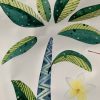 Watercolour koala Jungle Composition set Safari Wall Nursery Decor - Image 5