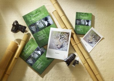 Hahnemühle Bamboo A3+ 25 sheets 290gsm - Image 3