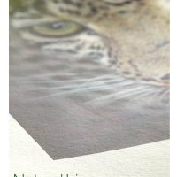 Hahnemühle Bamboo A3+ 25 sheets 290gsm