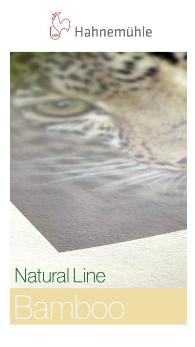 Hahnemühle Bamboo A3+ 25 sheets 290gsm