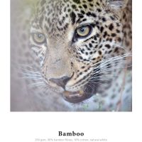 Hahnemühle Bamboo 44in 1118mm x 12m 290gsm