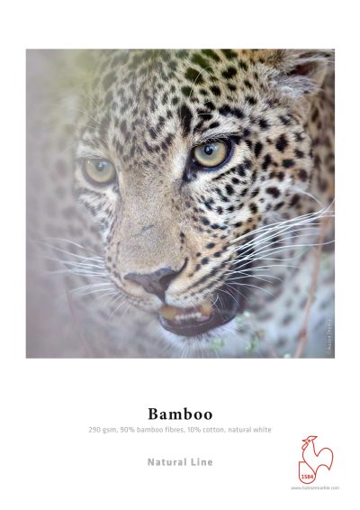 Hahnemühle Bamboo 44in 1118mm x 12m 290gsm