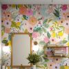 Wallpaper Matte Liquid Lamination 5Ltr - Image 2