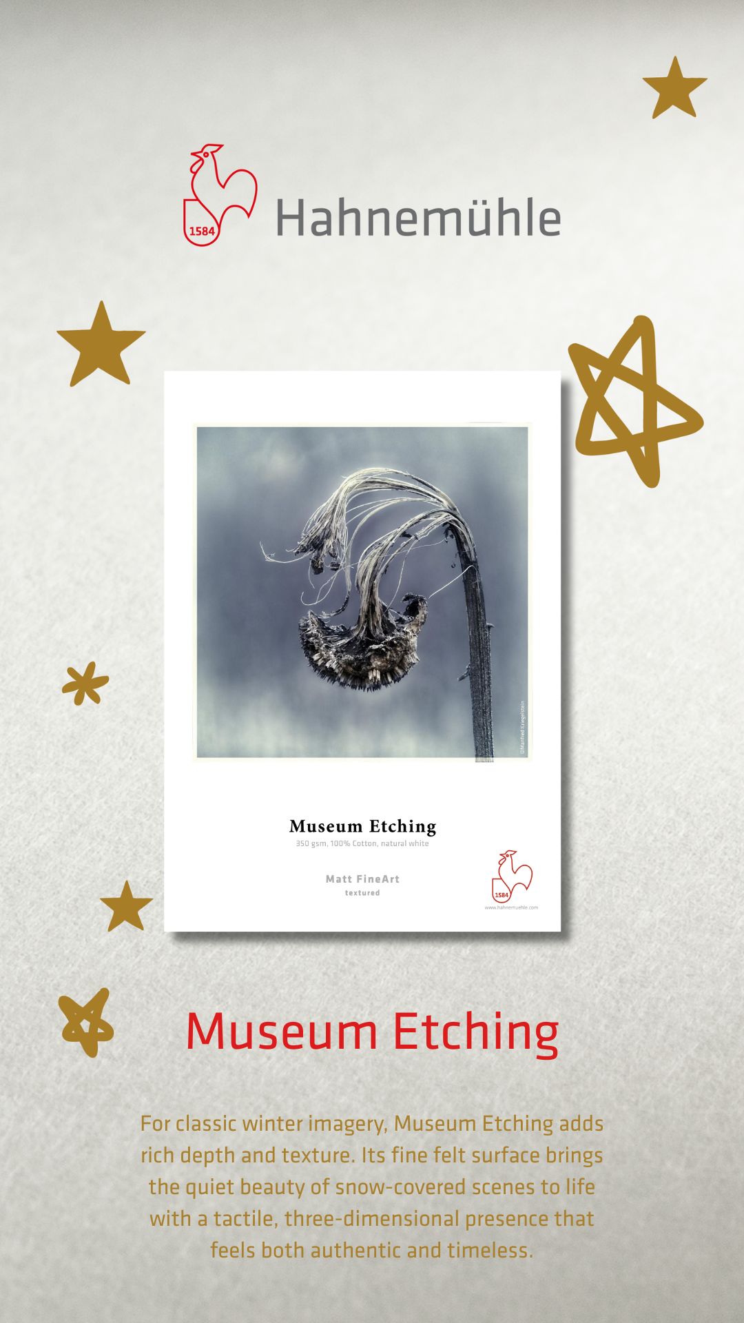 Hahnemuhle Museum Etching Matt FineArt textured 350 gsm A2 x 25 sheets- 350gsm - Image 6