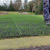 Greenskeeper anti-slip black 1m x 1.5m 16mm thick - Image 8