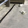 RESTORE Joint Repair Kit - 5kg Resin & 0.2kg Hardener - Image 6