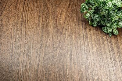 CoverStyl AA14 Original Oak WOOD 1220mm x 1m - Image 4