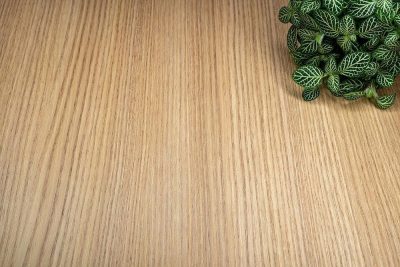 CoverStyl AL24 Bleach Ash WOOD 1220mm x 1m - Image 3