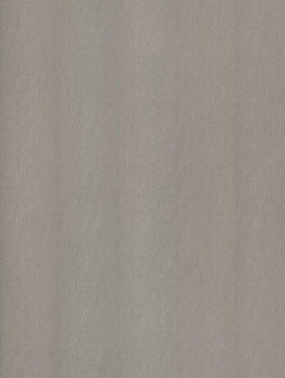 CoverStyl NE51 Champagne Silver Brushed STEEL 1220mm x 1m